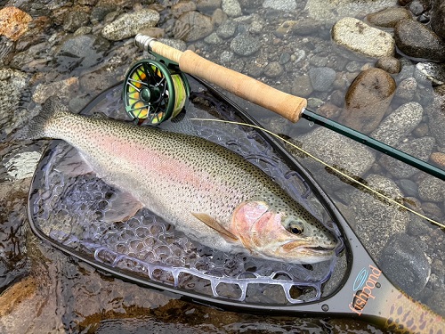 2025/08/26　ヒレピンレインボー　道内の河川　林様