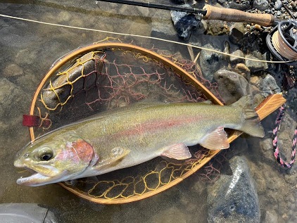 2025/12/28　ホウライマス　員弁川　Nao様