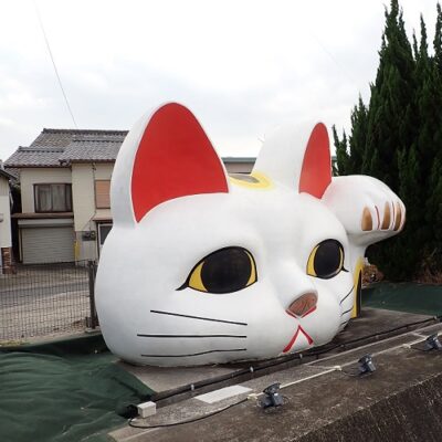 常滑のデカ猫