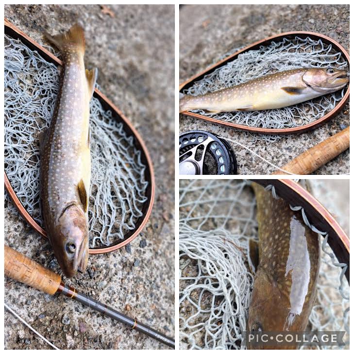 福田名人　＃9モンカゲドライ