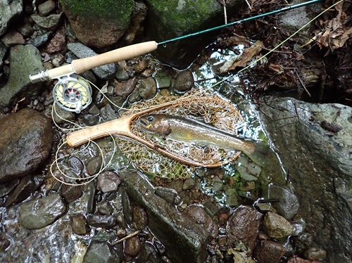 イワナ34cm