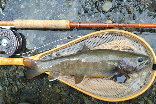 SCOTT　FS723/5と、ヤマトイワナ32ｃｍ