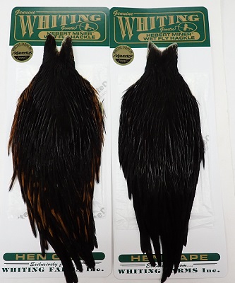HEBERT　hen　black